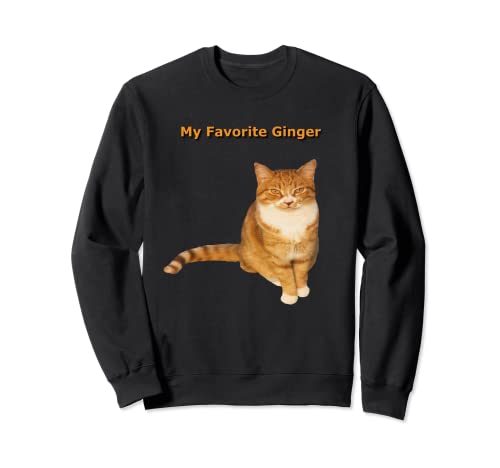 Mi favorito Ginger Orange Tabby Cat Lover Sudadera