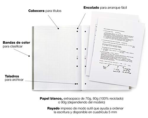 Miquelrius - Bloc Recambio Hojas Encoladas, 10 Franjas de Colores, 200 Hojas Cuadriculadas de 5 mm, Tamaño A4, Papel 70 g, con 4 Taladros