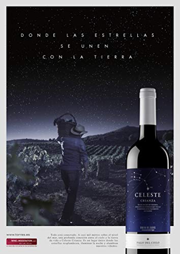 Pago del Cielo Celeste Crianza, Vinto Tinto, 75 cl - 750 ml