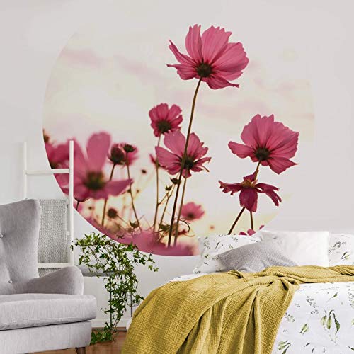 Papel pintado fotográfico redondo con flores rosas Cosmos veraniegas, paisaje floral, puesta de sol, fotografía, incluye plantilla de 140 cm de diámetro