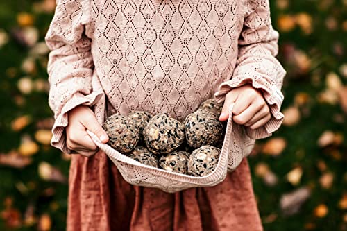 Piñas de sebo con semillas de girasol, alimento para aves silvestres durante todo el año, accesorio para pájaros Nelson Garden, alimento para pájaros silvestres, alimento para todo el año.