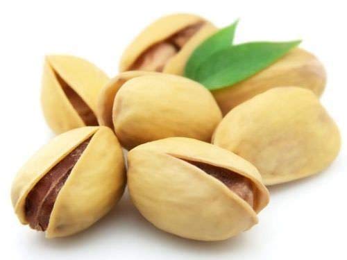 Portal Cool Nueces de Ãrbol Pistachos Semillas Semillas de Ã¡rboles frutales Pistacia Rara Planta tropical tuerca de semillas