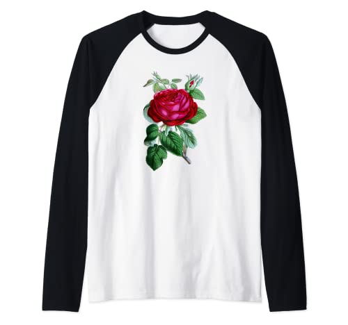 Rojo Vintage Rose Flowers Gardener & Roses Amante Pareja Regalo Camiseta Manga Raglan