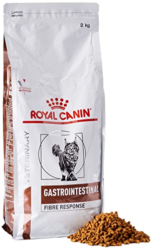 ROYAL CANIN Alimento para Gatos Fibre Response FR31-2 kg