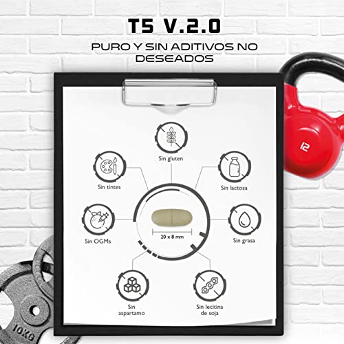 T5 V.2.0 BRN - Fórmula F de alta dosis con 180 comprimidos - Ingredientes naturales: Extracto de hoja de yerba mate, extracto de mango africano, extracto de Opuntia Ficus, cafeína, frambuesa - Vegano