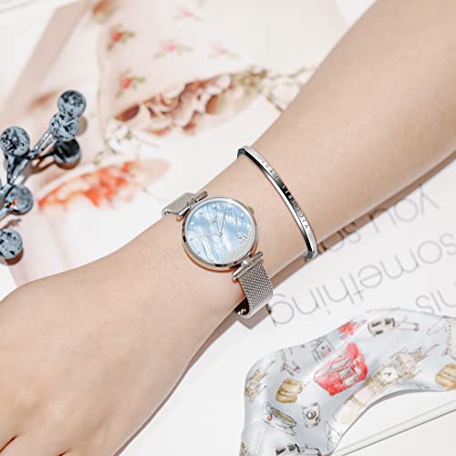 VICTORIA HYDE Reloj de Pulsera analógico de Cuarzo para Mujer con Esfera de nácar (Plata)