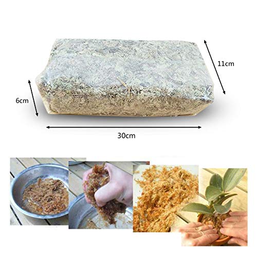 WANGQ Musgo Sphagnum para Plantas, Musgo Natural para Orquideas Phalaenopsis, Musgo Seco Musgo Blanco Sustrato De Turba Natural, Fertilizante Plantas, 6L/12L