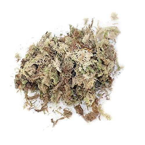 WANGQ Musgo Sphagnum para Plantas, Musgo Natural para Orquideas Phalaenopsis, Musgo Seco Musgo Blanco Sustrato De Turba Natural, Fertilizante Plantas, 6L/12L