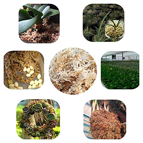 WANGQ Musgo Sphagnum para Plantas, Musgo Natural para Orquideas Phalaenopsis, Musgo Seco Musgo Blanco Sustrato De Turba Natural, Fertilizante Plantas, 6L/12L