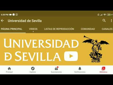 La Universidad de Sevilla: Un referente académico en España y Europa