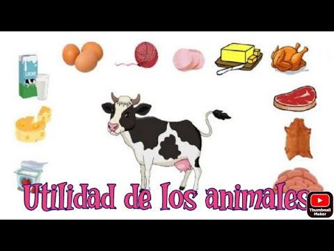 La importancia de la materia prima de origen animal en la industria alimentaria