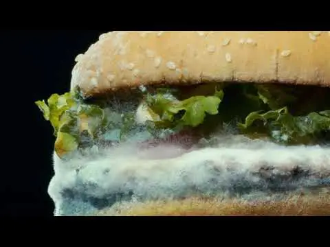Los irresistibles anuncios de Burger King que te harán salivar