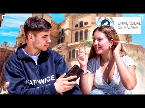 Guía completa de los grados ofrecidos por la Universidad de Málaga en 2024