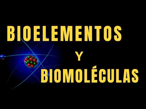Los fundamentos de los bioelementos y biomoléculas: ¿Qué son y cuál es su importancia en los seres vivos?