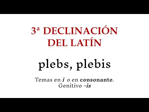 La tercera declinación en latín: Reglas y ejemplos para comprenderla mejor