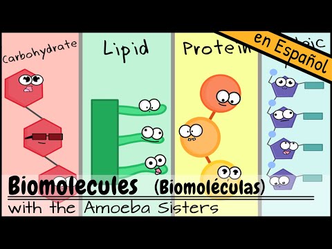 Introducción a las biomoléculas orgánicas: componentes esenciales de la vida