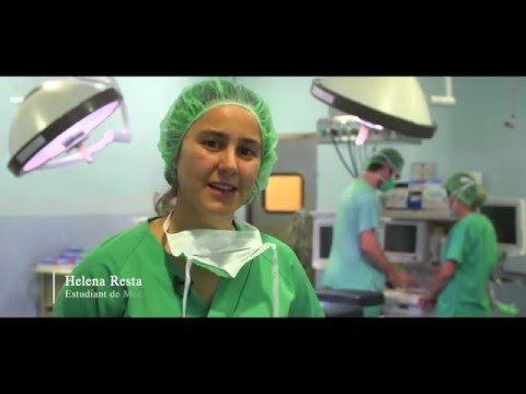 La Facultad de Medicina de Girona: Una institución de excelencia en formación médica
