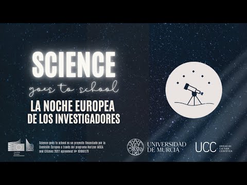 Los grados ofrecidos por la Universidad de Murcia: una visión completa