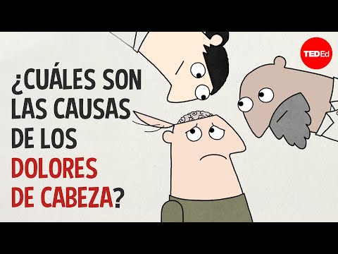 Las posibles causas del dolor de cabeza en los burros en España