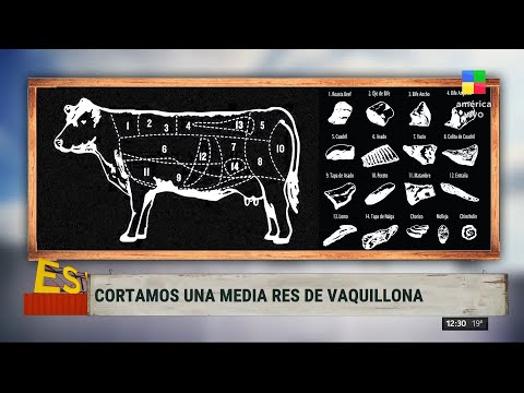 Los nombres de los cortes de carne argentinos en España: una guía completa