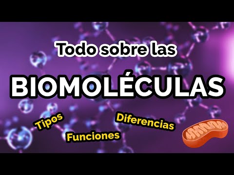 Introducción a las biomoléculas inorgánicas: concepto y funciones