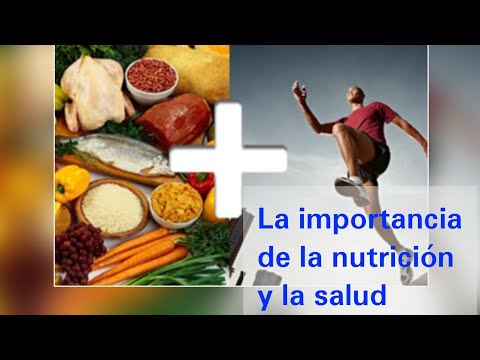 La importancia de la Academia Española de Nutrición y Dietética en el cuidado de nuestra salud