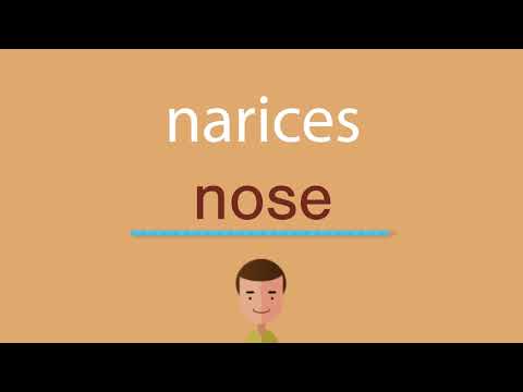 La traducción de la palabra nariz al inglés