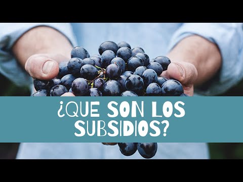 El subsidio de residente español: ¿qué es y cómo funciona?