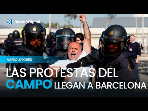 La manifestación de hoy en Barcelona: Información y contexto