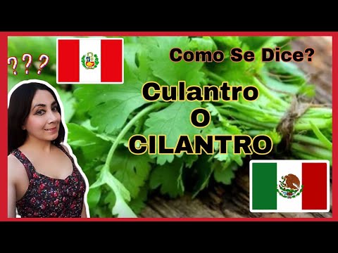 El nombre del cilantro en Perú