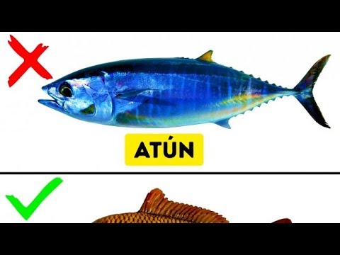 Abadejo: El pescado que desafía las categorías de blanco y azul