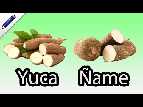 El nombre de la yuca en España: características y usos