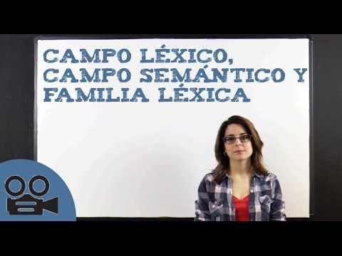 Campo semántico vs. Campo léxico: Entendiendo las diferencias clave