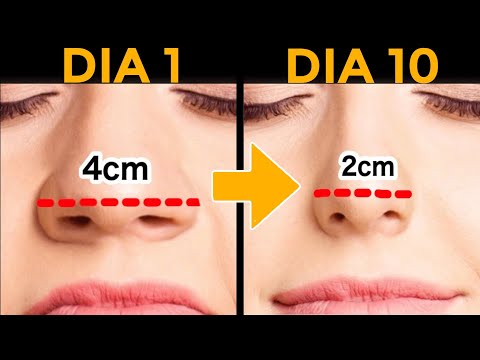 Cómo nivelar los agujeros de la nariz y mejorar su apariencia estética