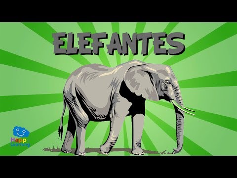 El sonido característico de los elefantes: ¿qué nombre recibe?