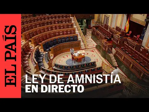 La Ley de Amnistía: una guía completa sobre su contenido y alcance en España