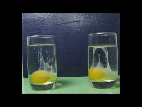 La fascinante técnica de la lectura del huevo en el vaso de agua