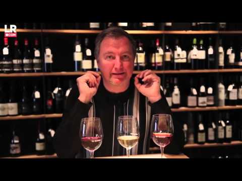 Los expertos en vinos: ¿Cómo se llaman los catadores de vino?