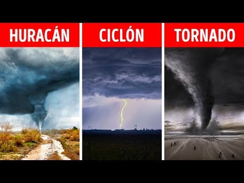 La distinción entre tornados y huracanes: ¿en qué se diferencian?