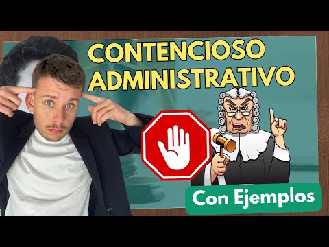 El funcionamiento del Juzgado Central de lo Contencioso Administrativo en España