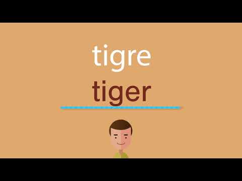 La traducción de tigre al inglés