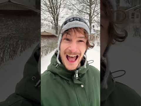 Aprende a apreciar un árbol en Finlandia