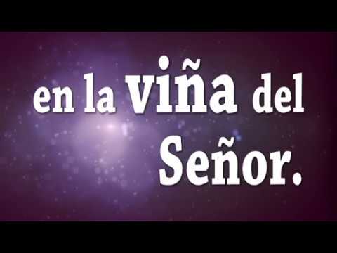 La diversidad en la viña del señor: Un mundo de posibilidades