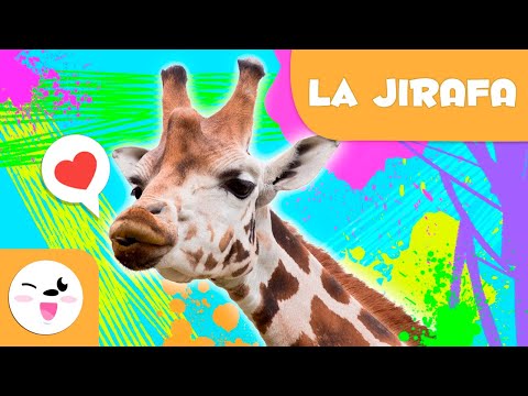 La correcta escritura de jirafa o girafa en español