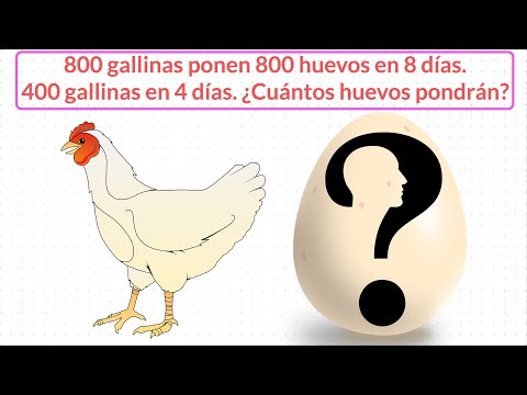 El desafío de la gallina: resolver crucigramas sobre sus huevos
