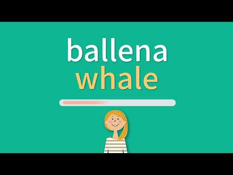 La traducción de ballena al inglés: ¡Aprende cómo se dice!