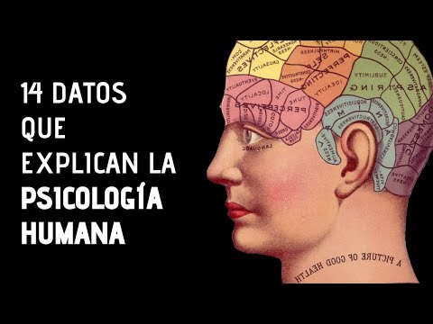 La psicología: una exploración profunda de la mente y el comportamiento humano