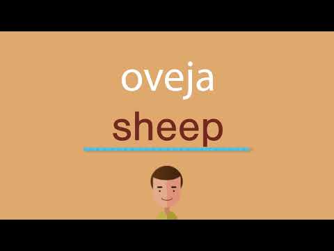 La traducción de oveja al inglés y su correcta escritura en 2024