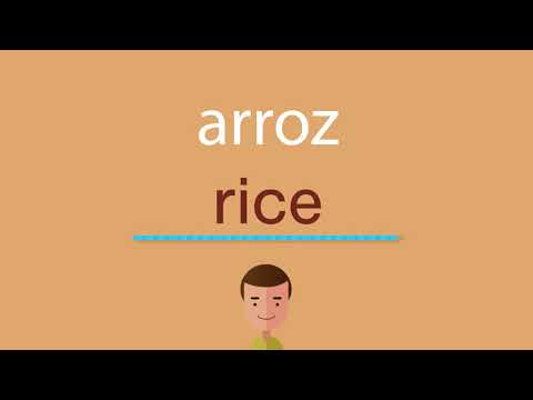 La traducción de la palabra arroz al inglés en 2024