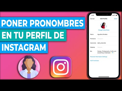 Cómo colocar los pronombres en tu perfil de Instagram en 2024